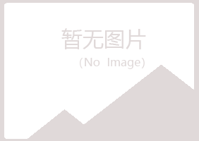 北流山柳工程有限公司